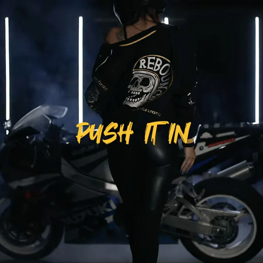 Cover von Push It In