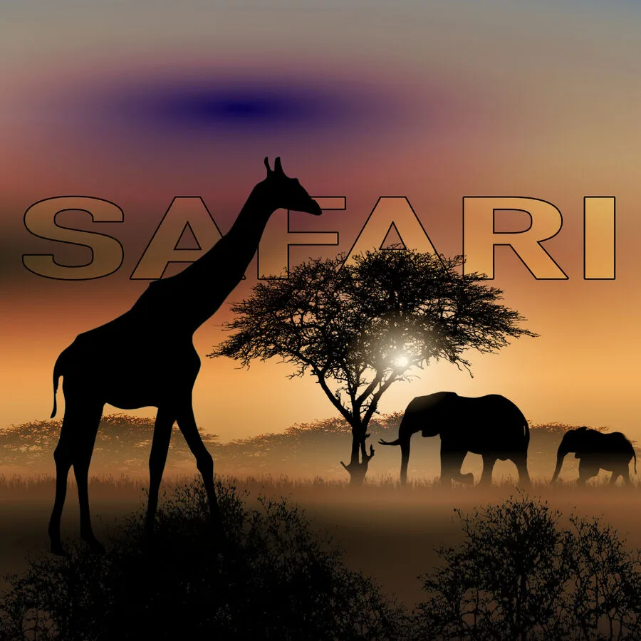 Cover von Safari